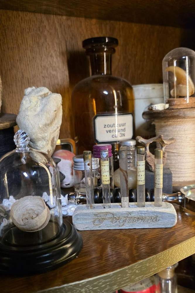 Shelf of antique apothecary bottles