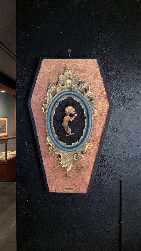 Specimen in a gilt oval on a coffin board
