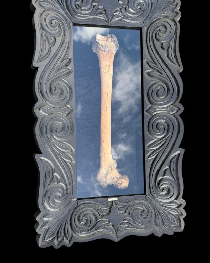 Femur bone framed against a painted sky