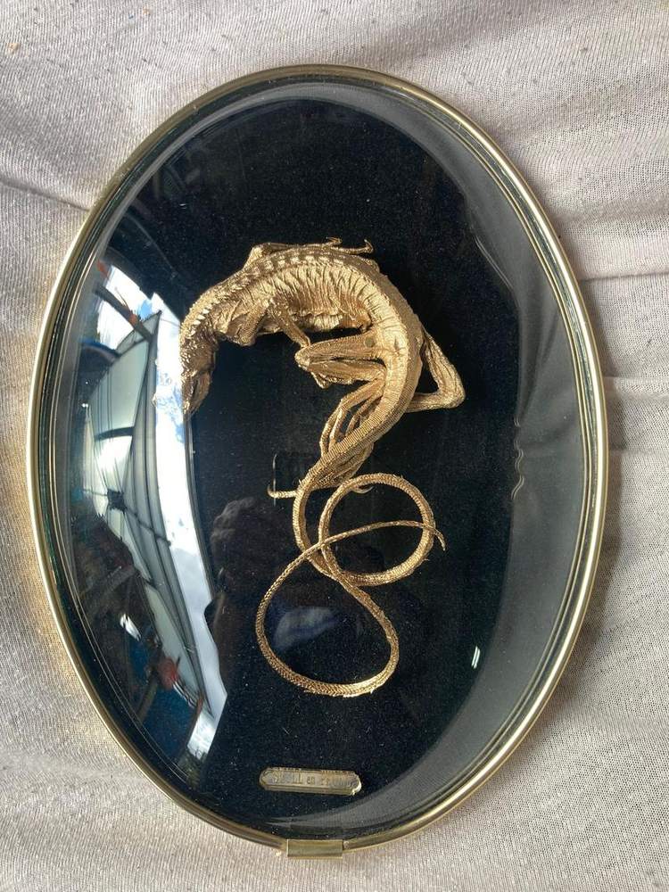 Gilded lizard skeleton in a black oval frame