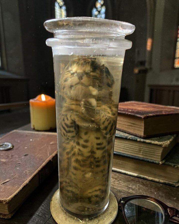 Striped specimen in a jar by candlelight