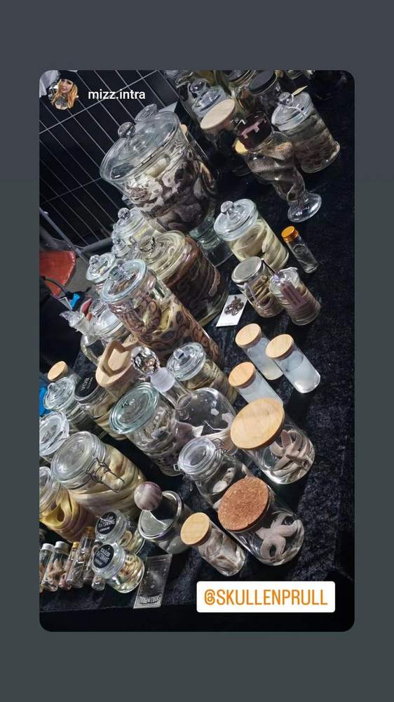 Dense cluster of small specimen jars