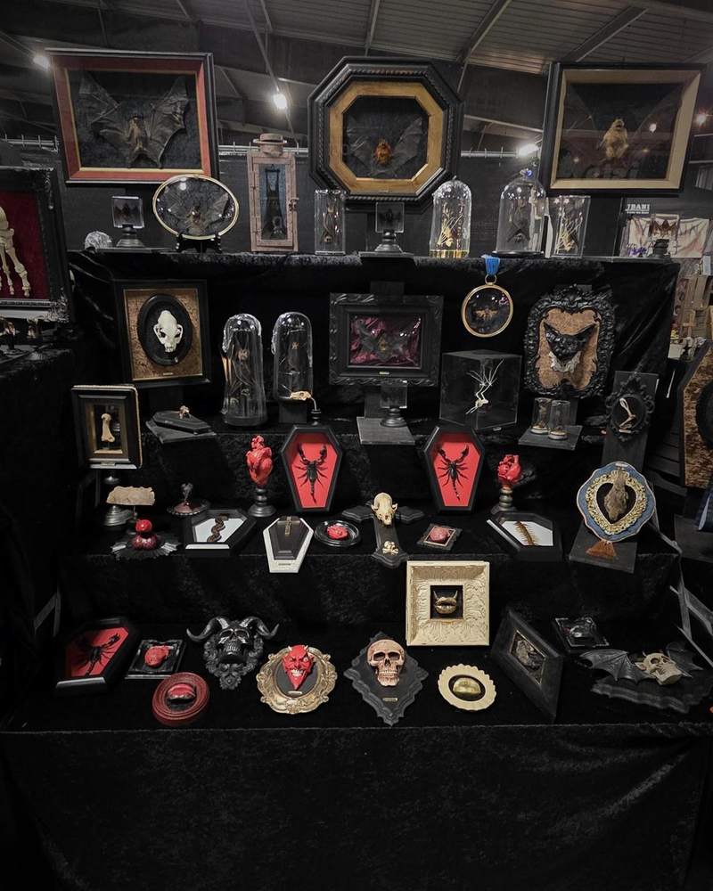 Market display shelves of frames and domes