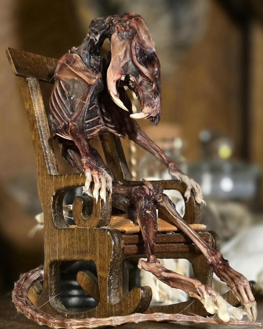Mummified rat seated upright on a tiny wooden rocking chair.